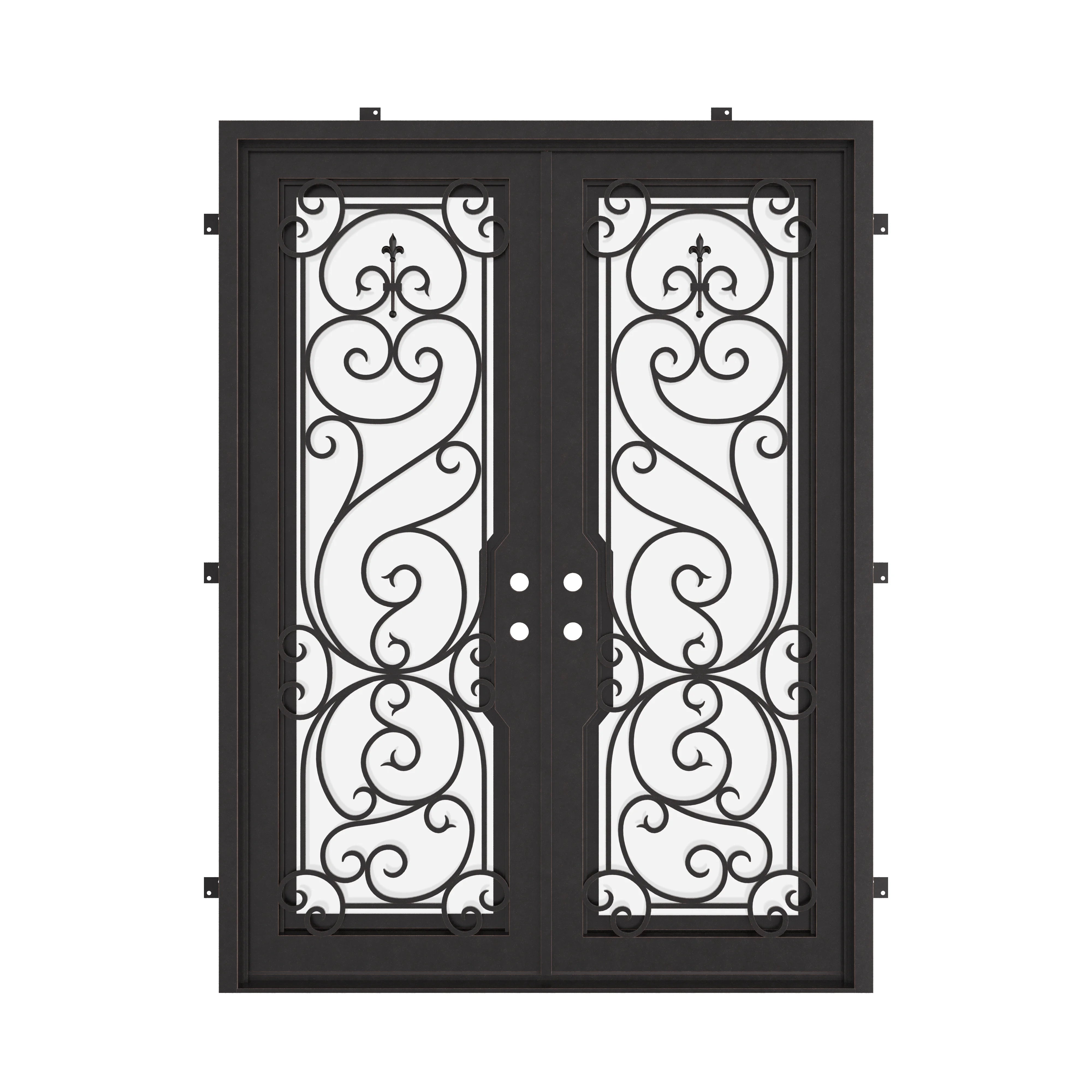 Hills bronze color exterior metal double flat front door.
