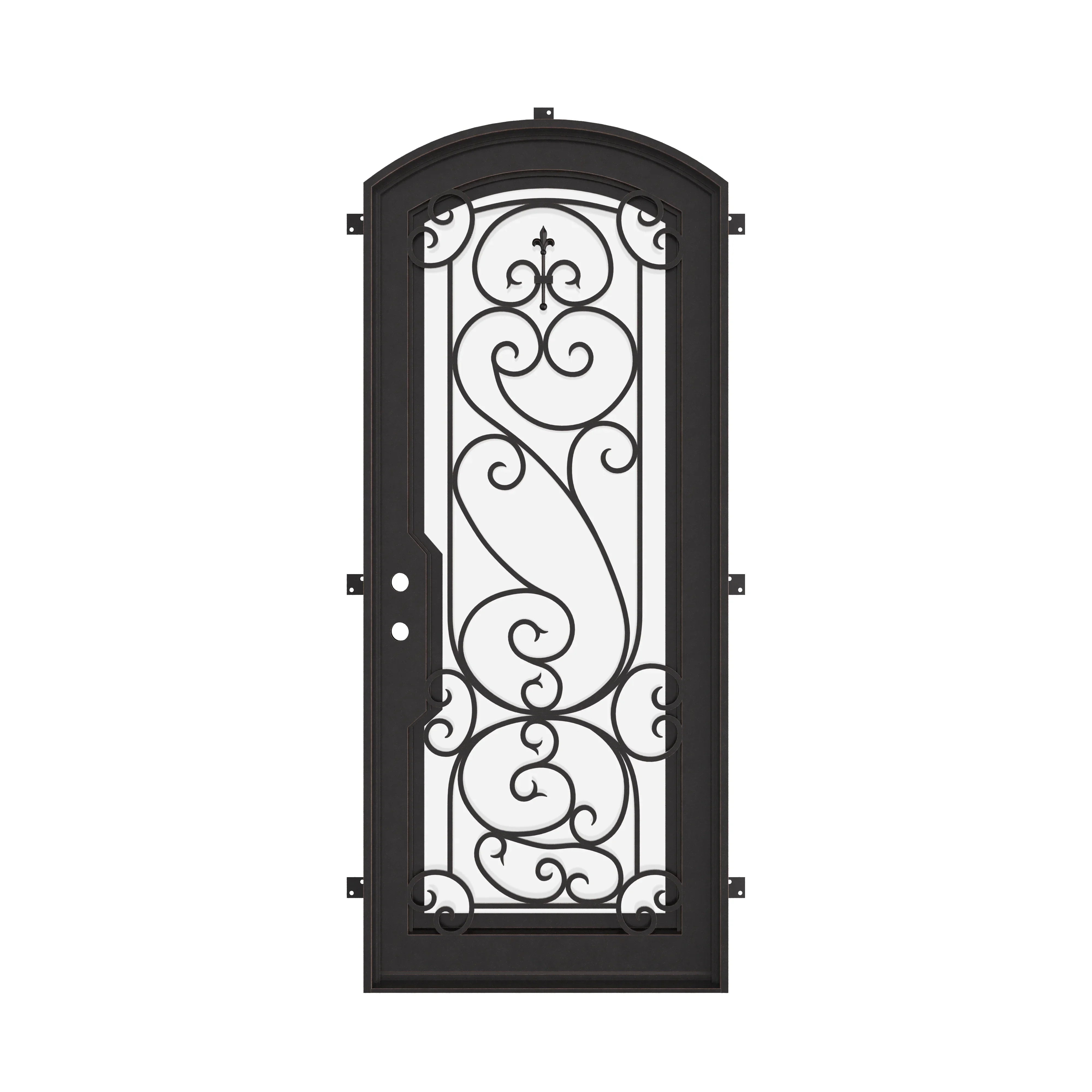 Hills single arch top hinged door with decorative scrollwork.