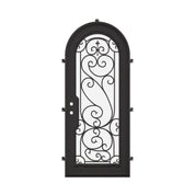 Hills black wrought iron single full arch entry door with energy efficient glass.