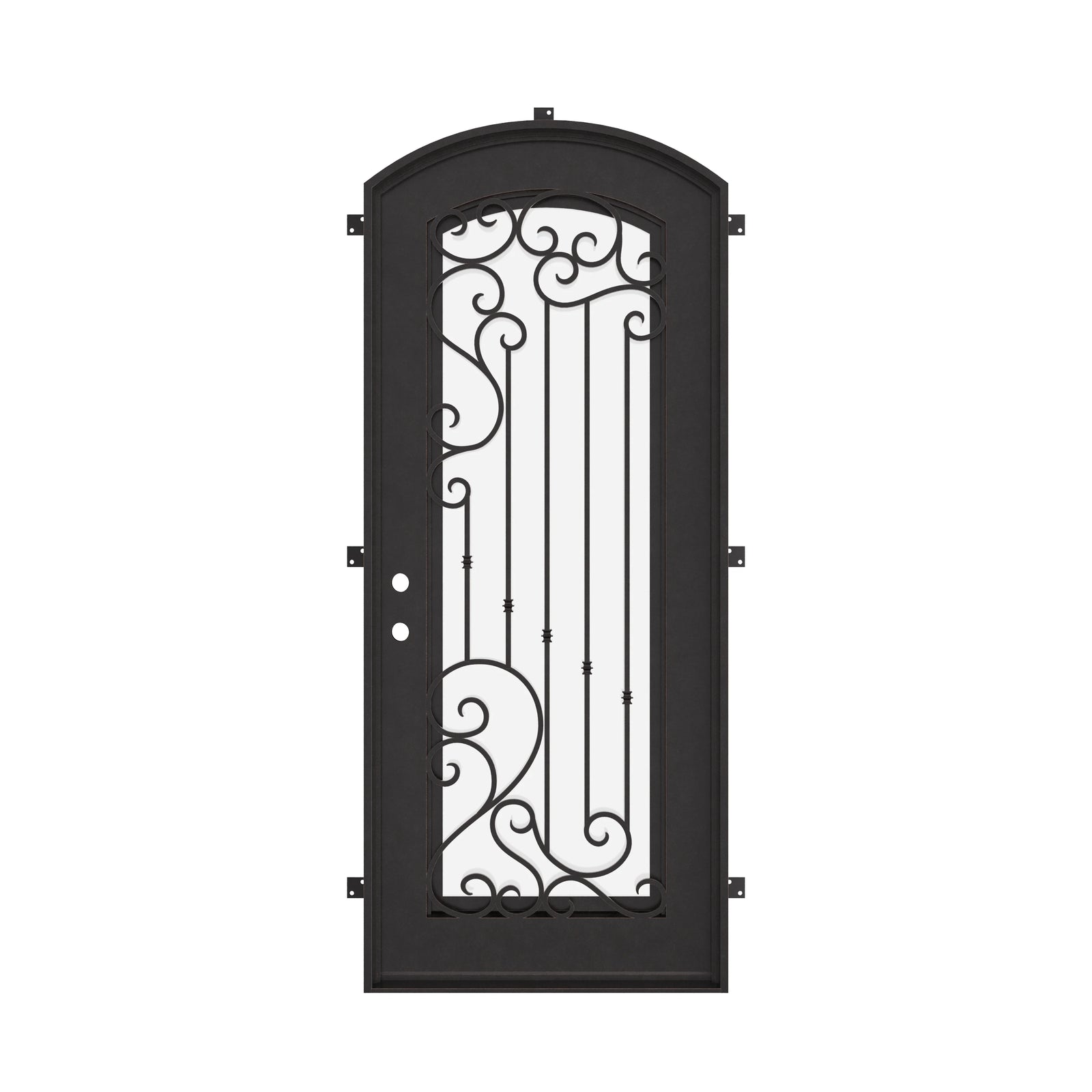 Paris black exterior metal eyebrow arch top door with ornate metalwork.