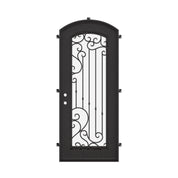 Paris black exterior metal eyebrow arch top door with ornate metalwork.