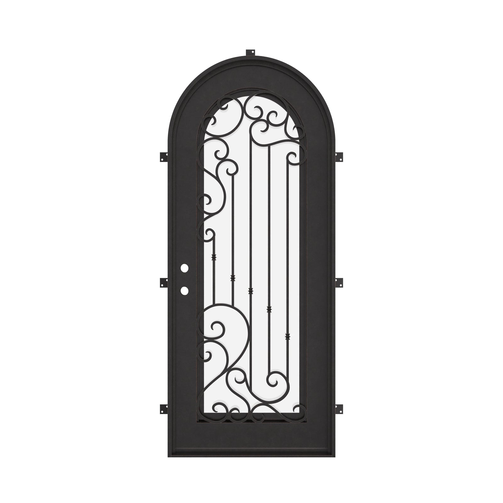 Paris black architectural iron single round top door with thick dual-pane glass.