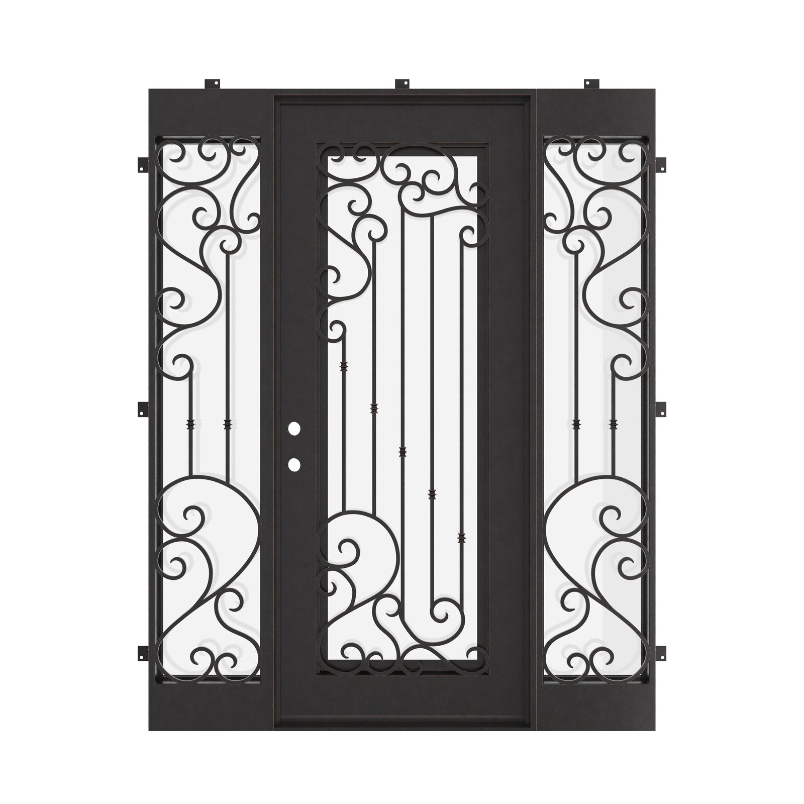 Paris wrought iron hinged door in black with flat top and sidelights.
