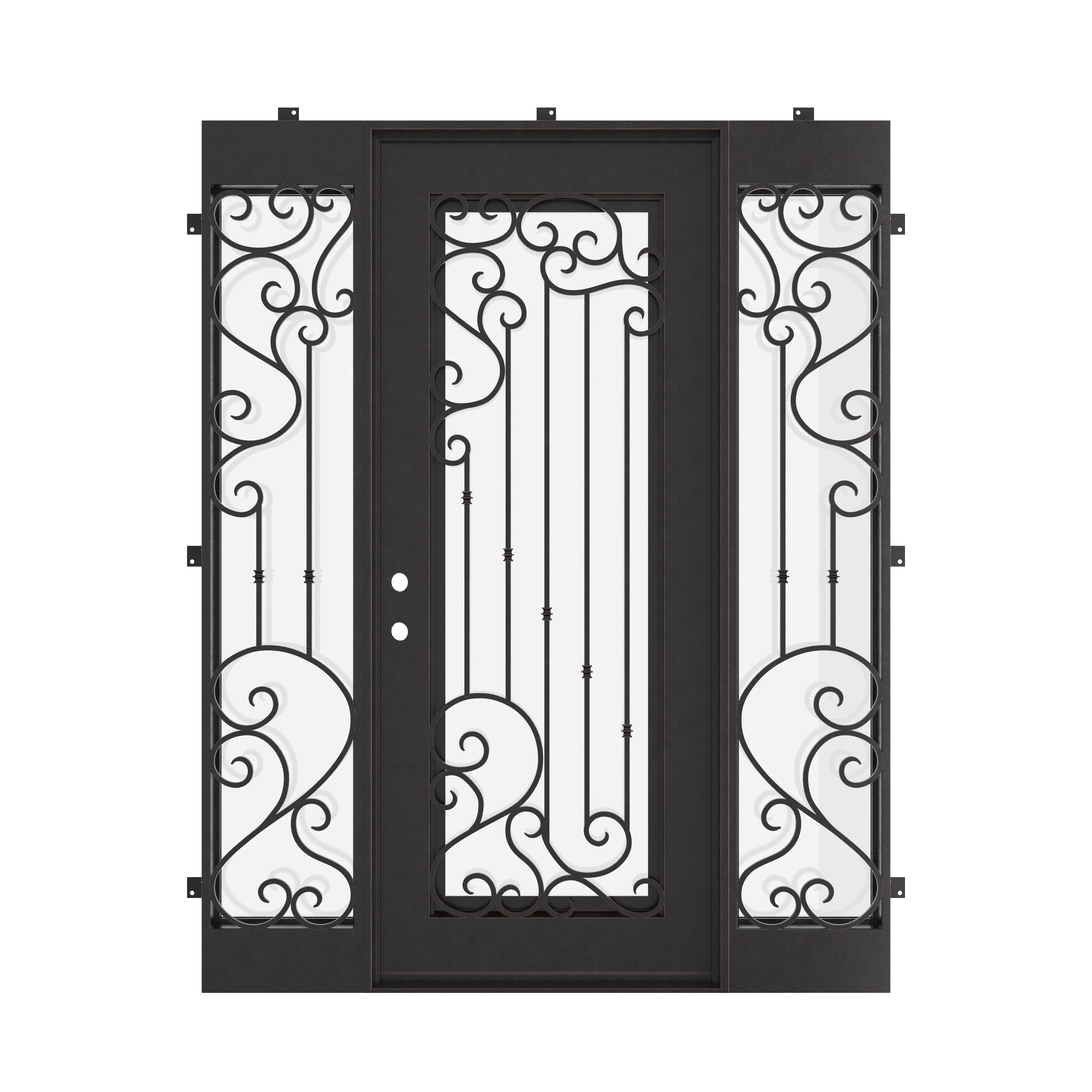 Paris wrought iron hinged door in black with flat top and sidelights.