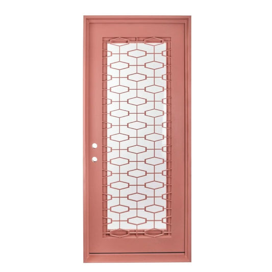 Pinky Steel Entry Door with PINKYS Logo Design