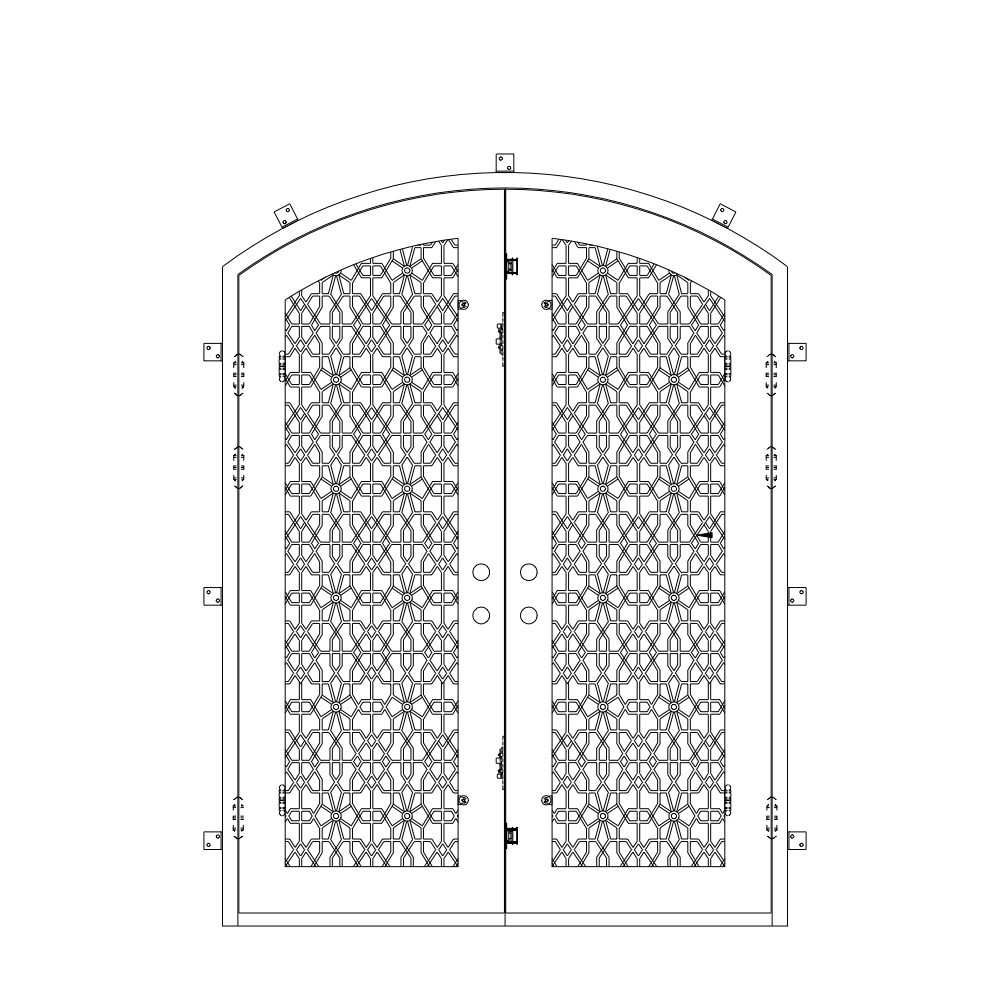 Iron Double Front Door CAD