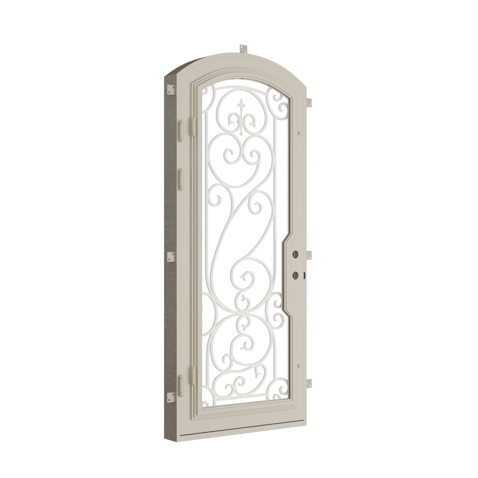 Pinkys Hills steel door, single, arch, closed