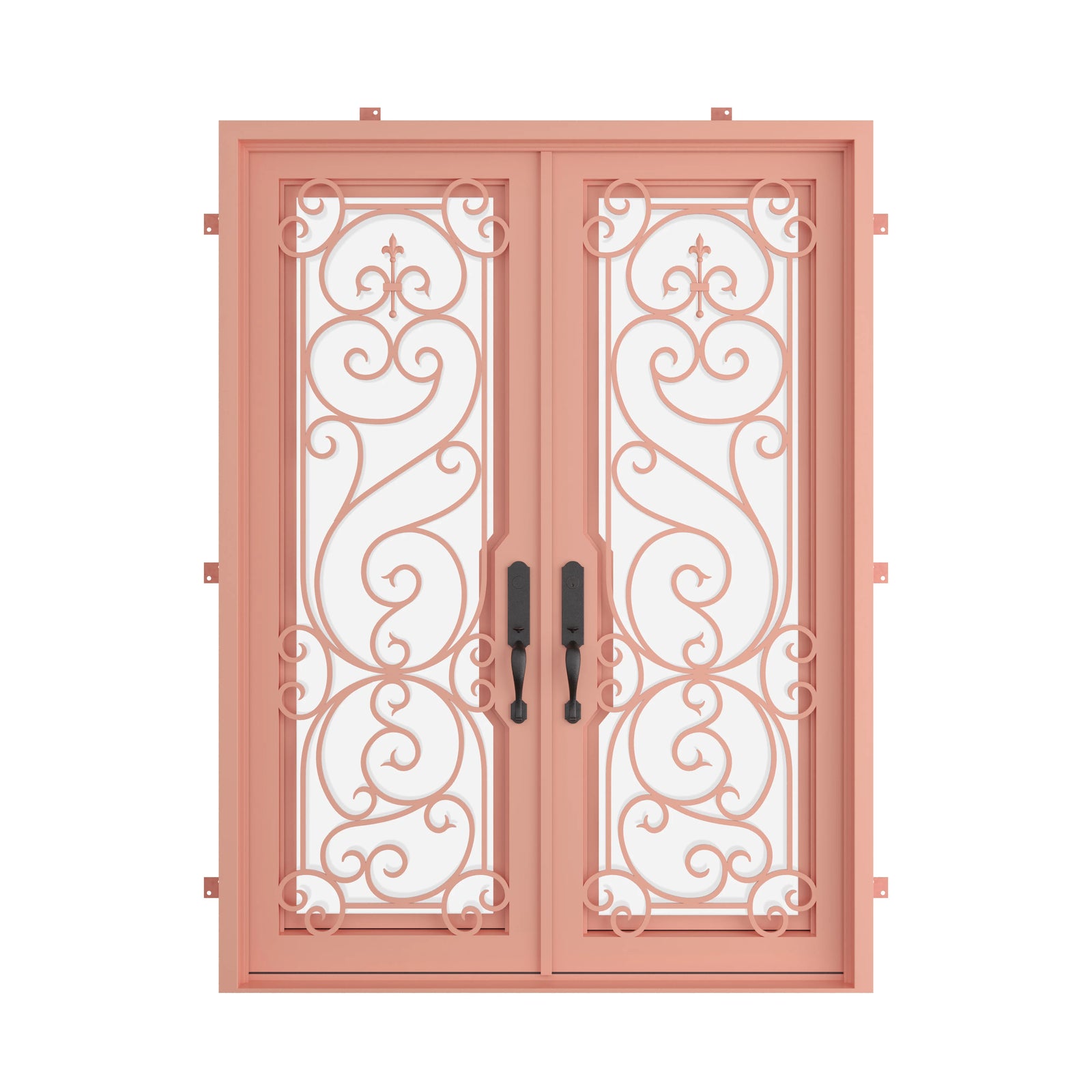 Pinkys Hills steel door, double, flat, closed