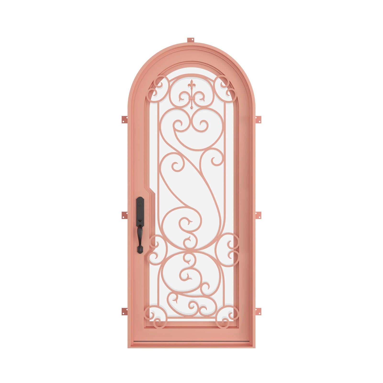 Pinkys Hills steel door, single, full arch, closed
