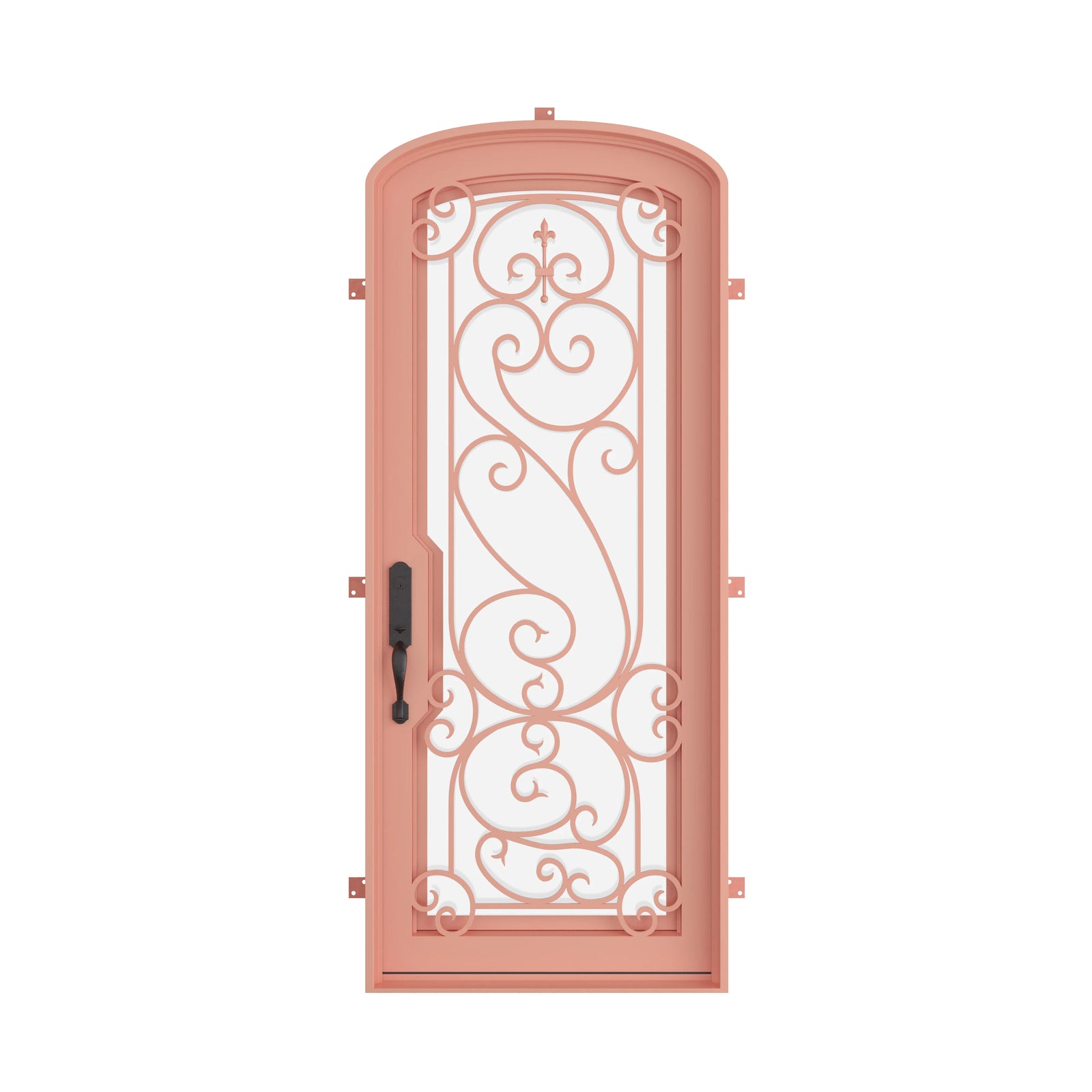 Pinkys Hills steel door, single, arch, closed