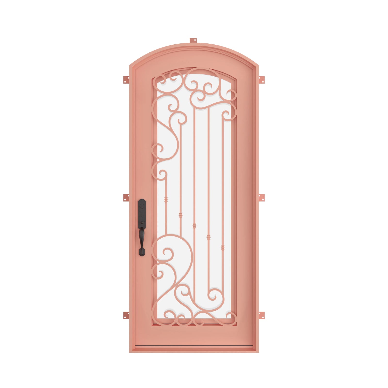 Pinkys Paris steel door, single, arch, closed