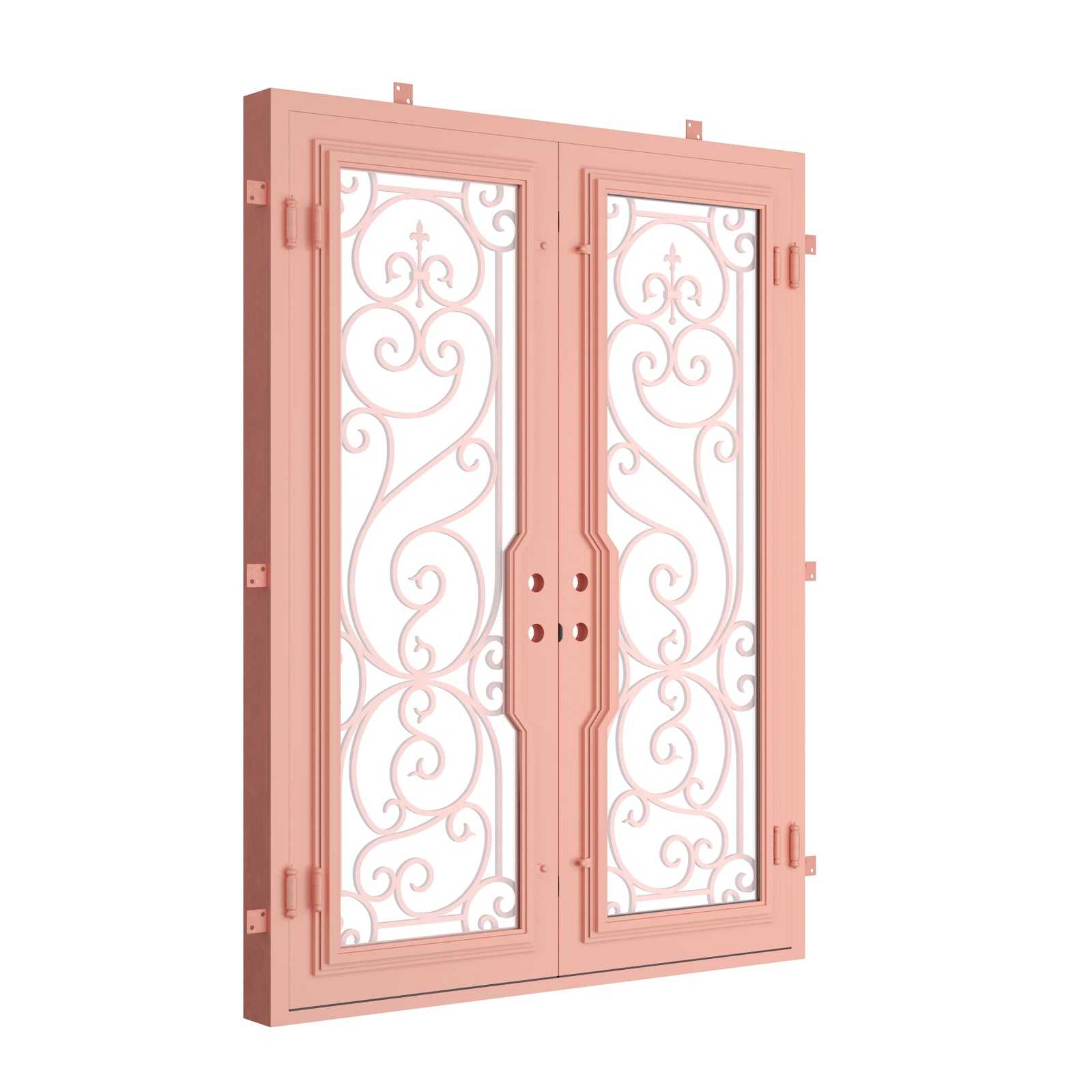 Pinkys Hills steel door, double, flat, closed