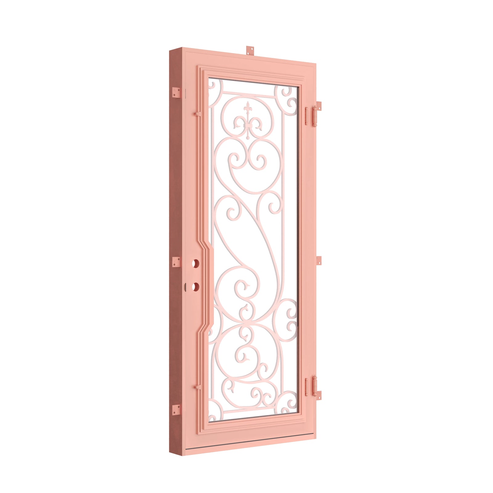Pinkys Hills steel door, single, flat, closed