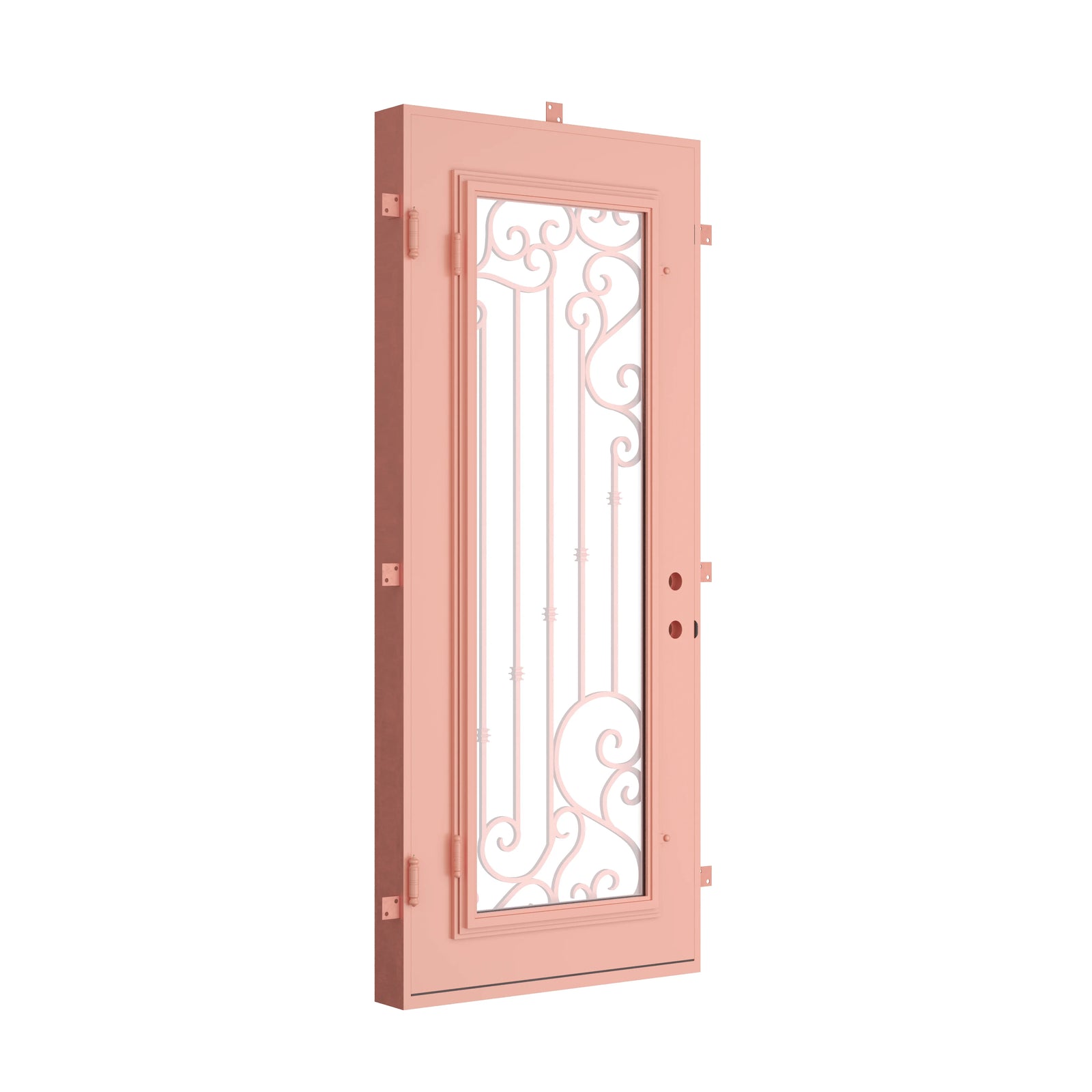 Pinkys Paris steel door, single, flat, closed