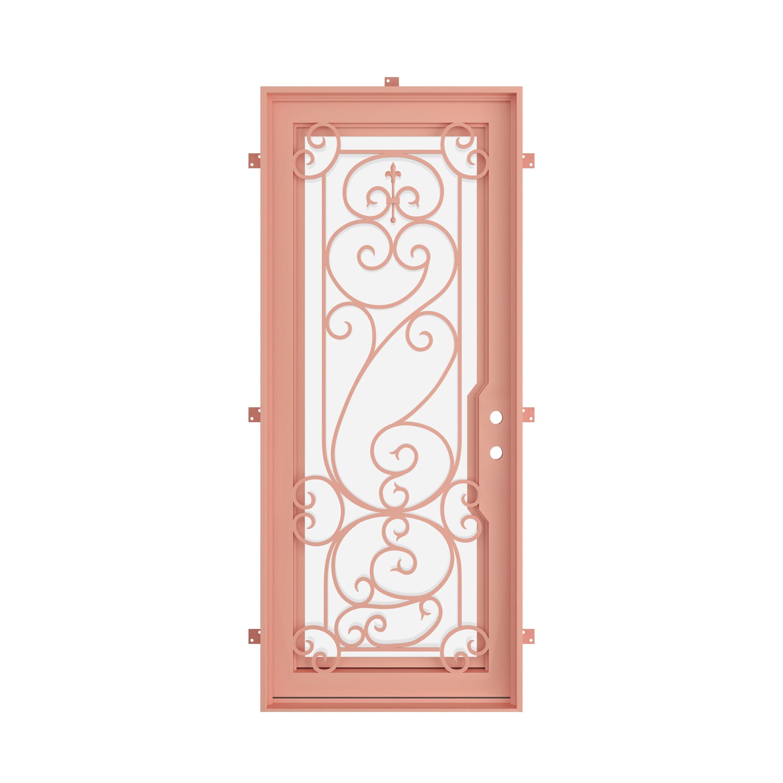 Pinkys Hills steel door, single, flat, closed