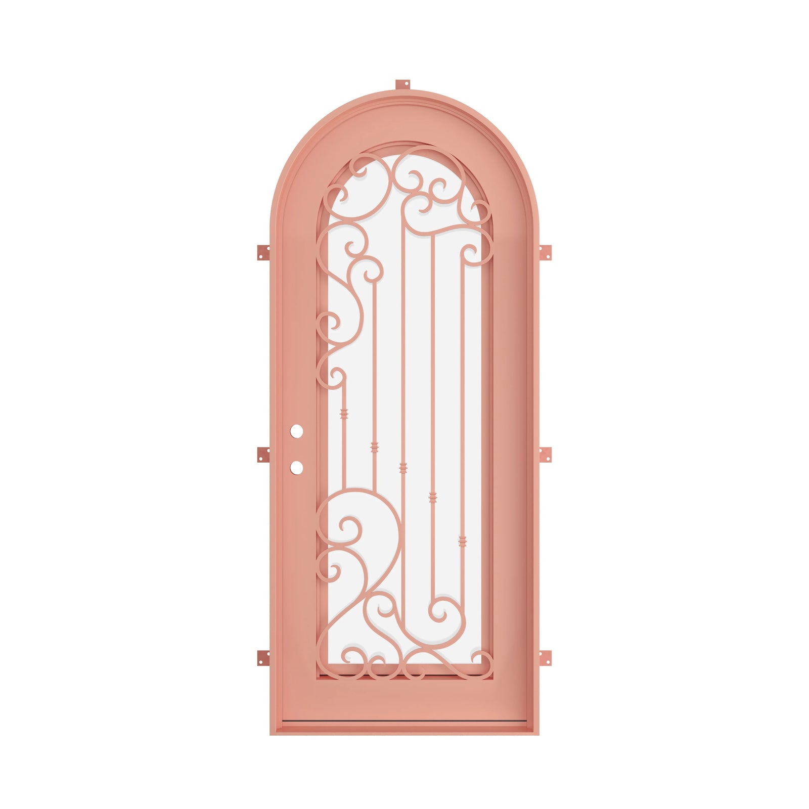 Pinkys Paris steel door, single, arch, closed
