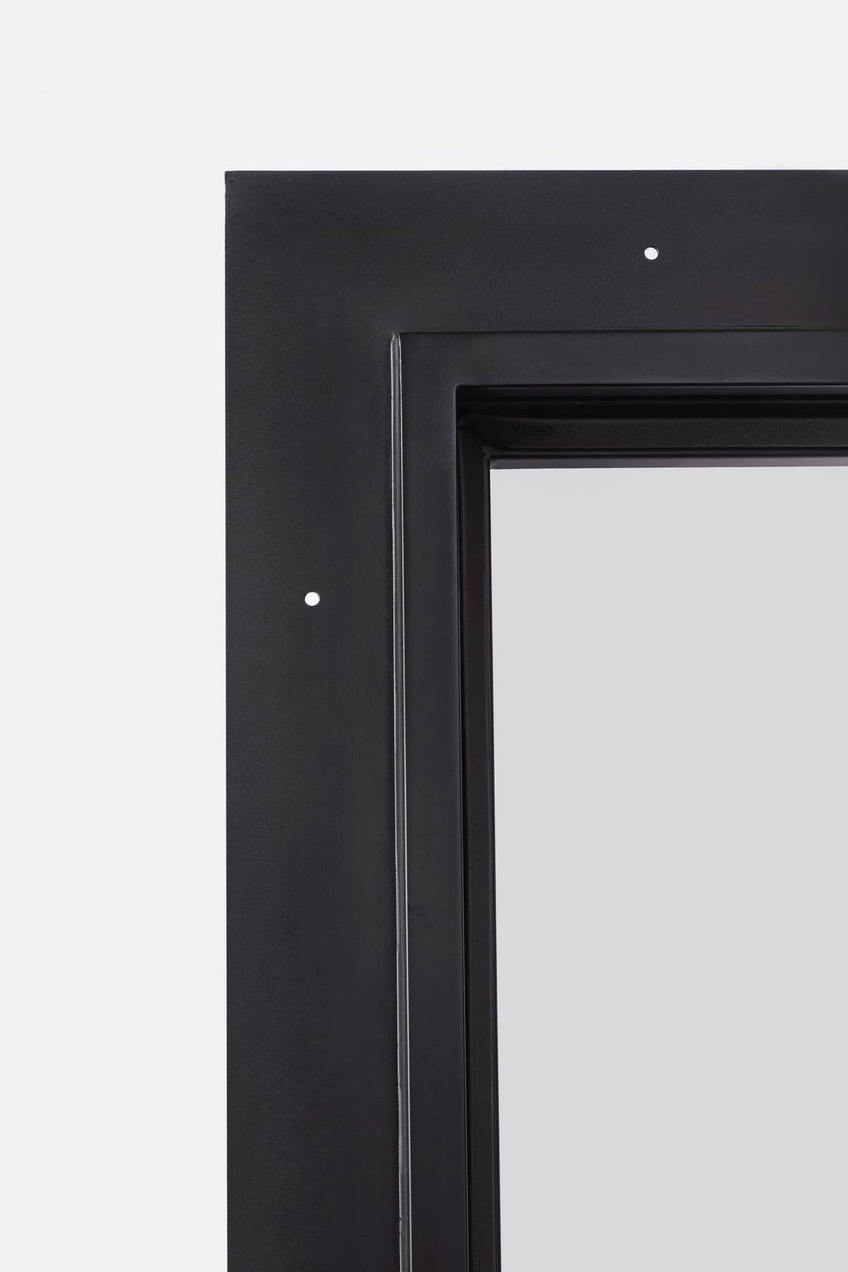 Finished Nailer Fin Macro Photo