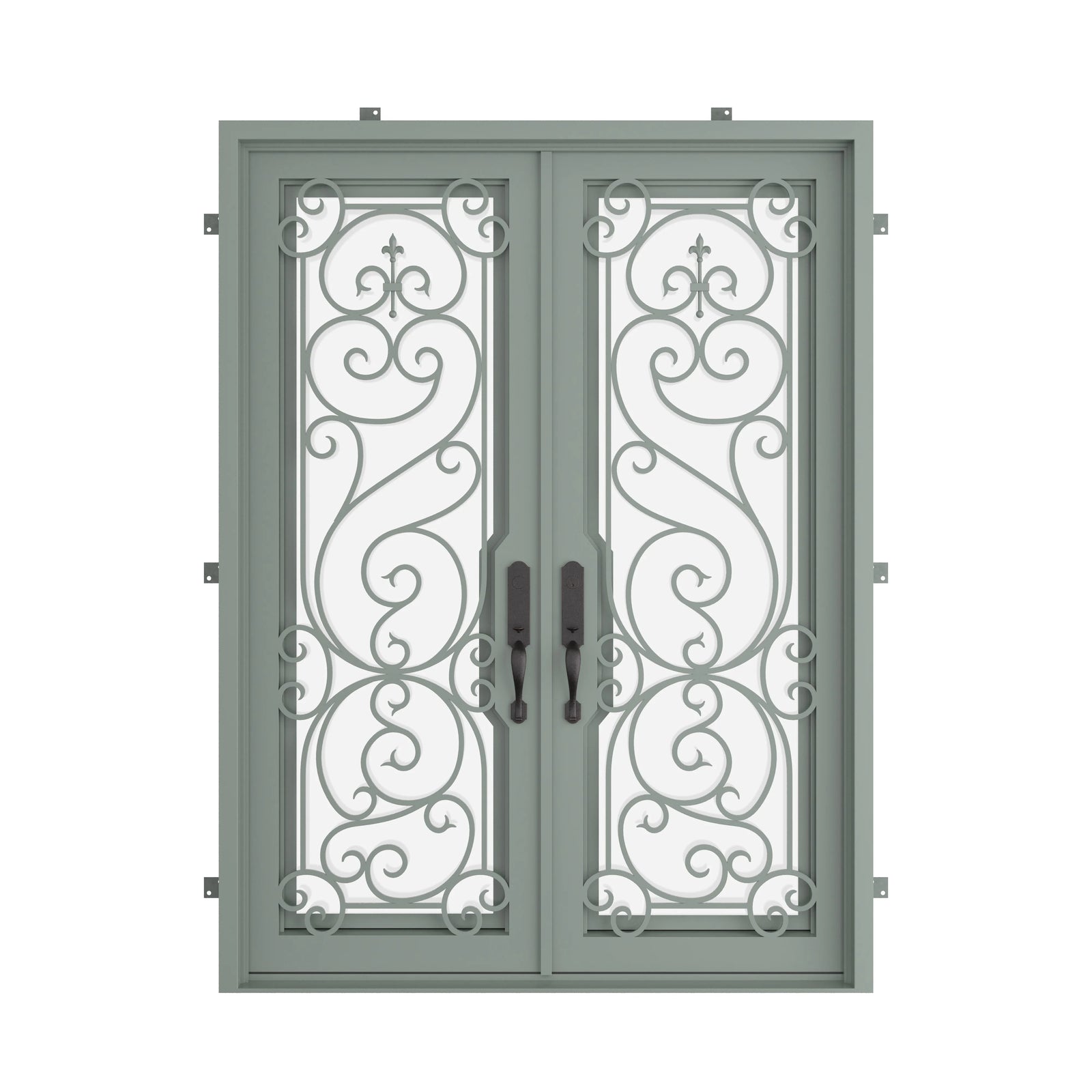 Pinkys Hills steel door, double, flat, closed