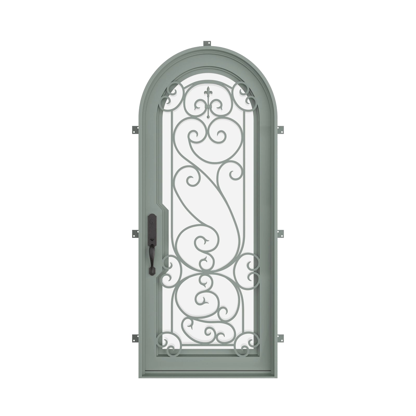 Pinkys Hills steel door, single, full arch, closed