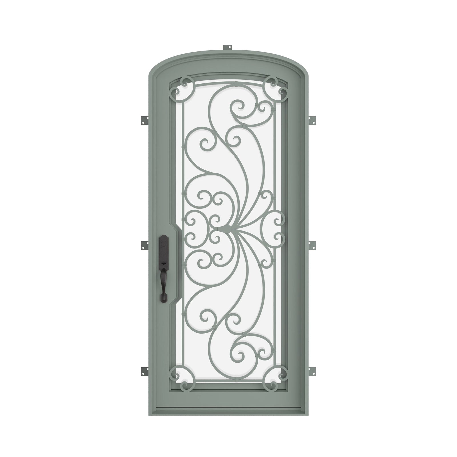 Pinkys Miracle steel door, single, arch, closed
