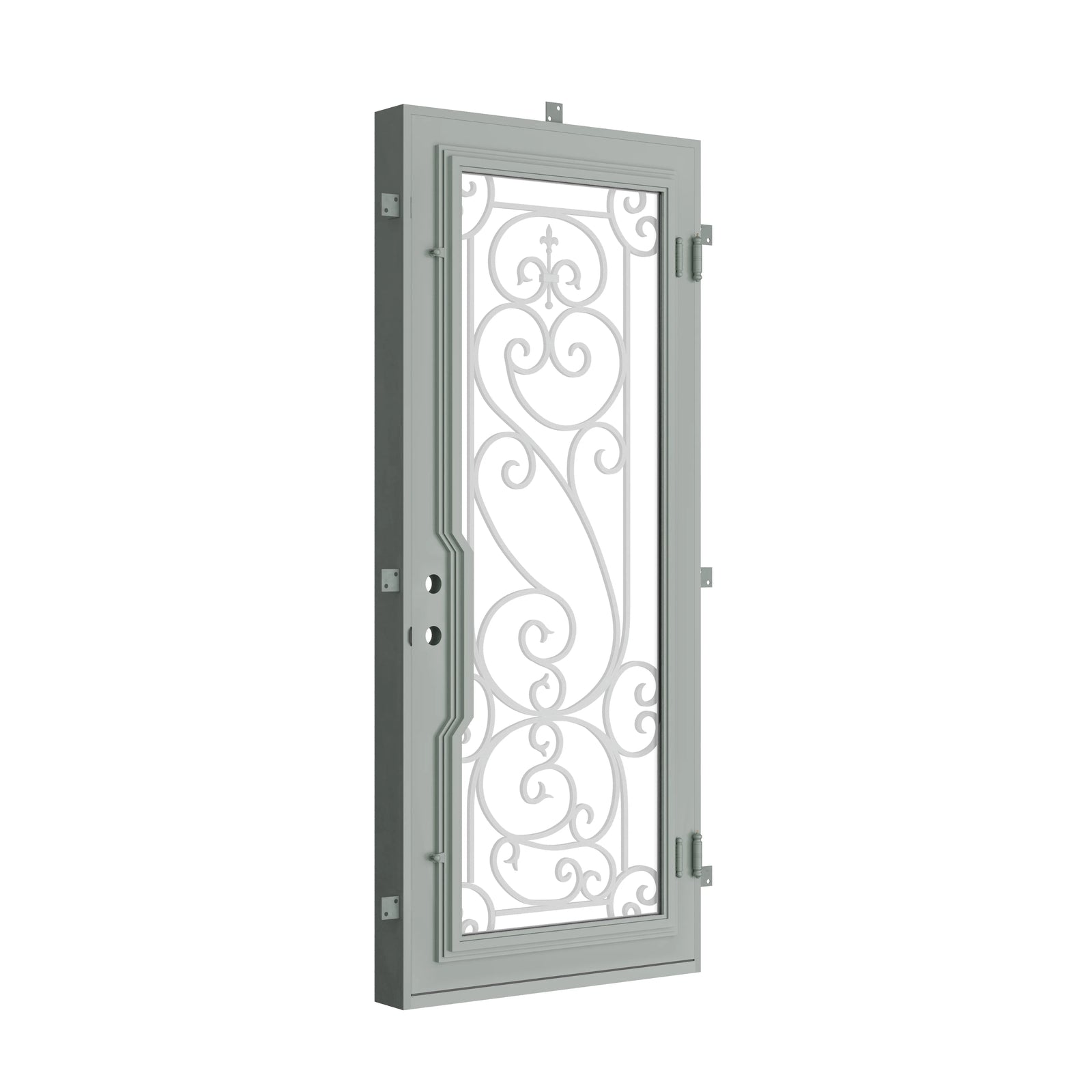 Pinkys Hills steel door, single, flat, closed