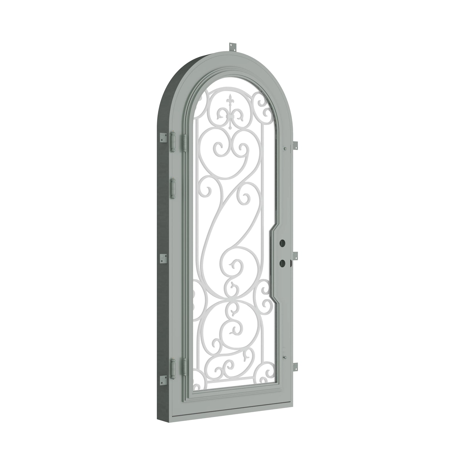 Pinkys Hills steel door, single, full arch, closed