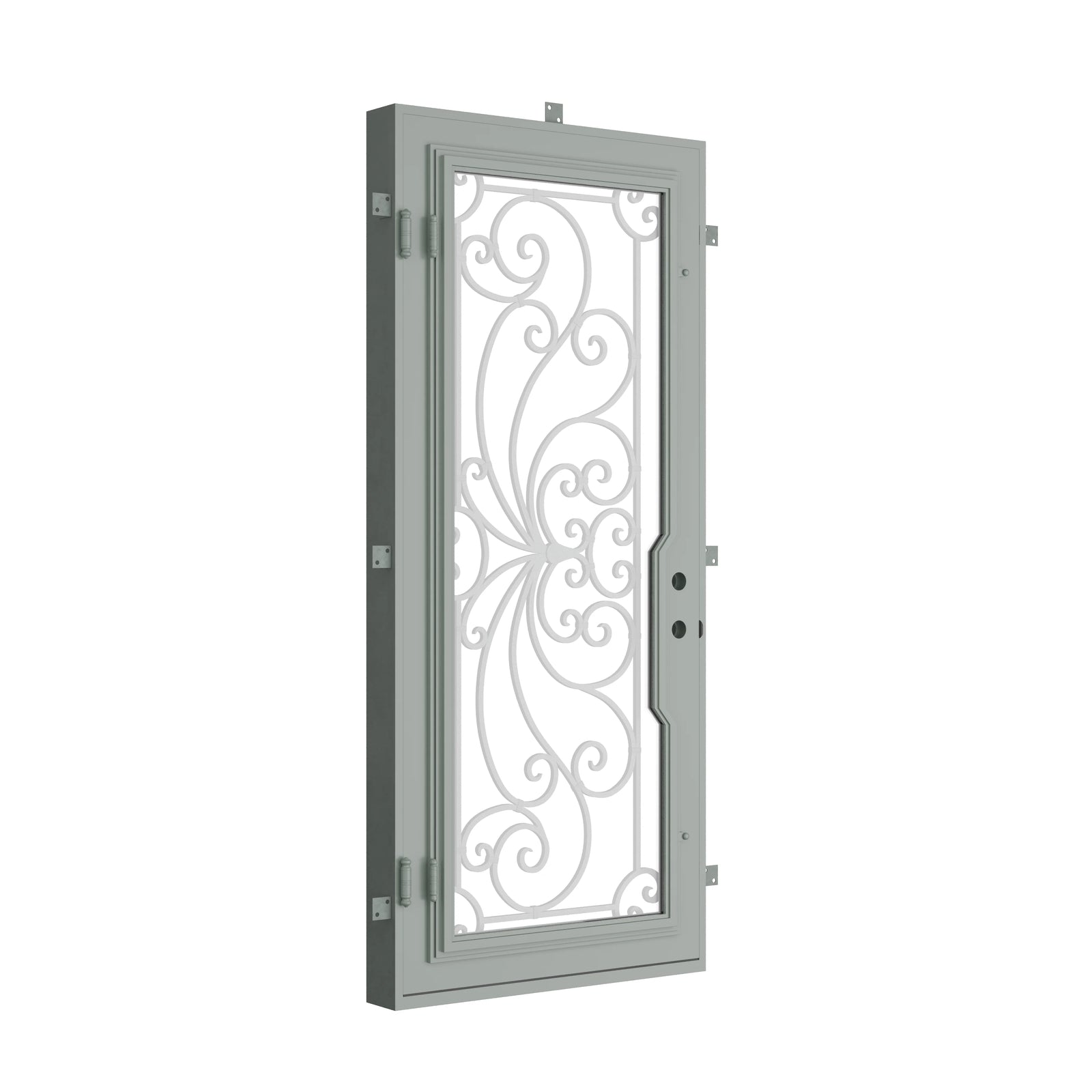 Pinkys Miracle steel door, single, flat, closed