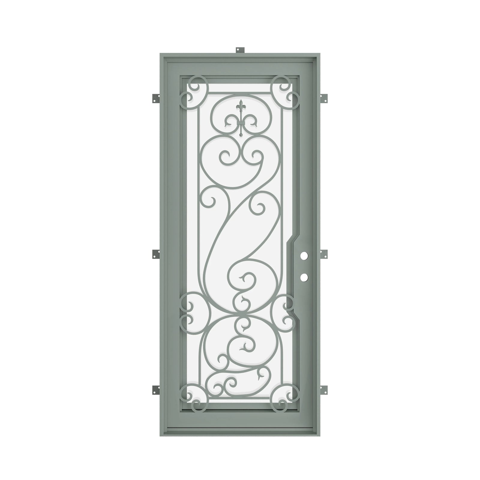 Pinkys Hills steel door, single, flat, closed
