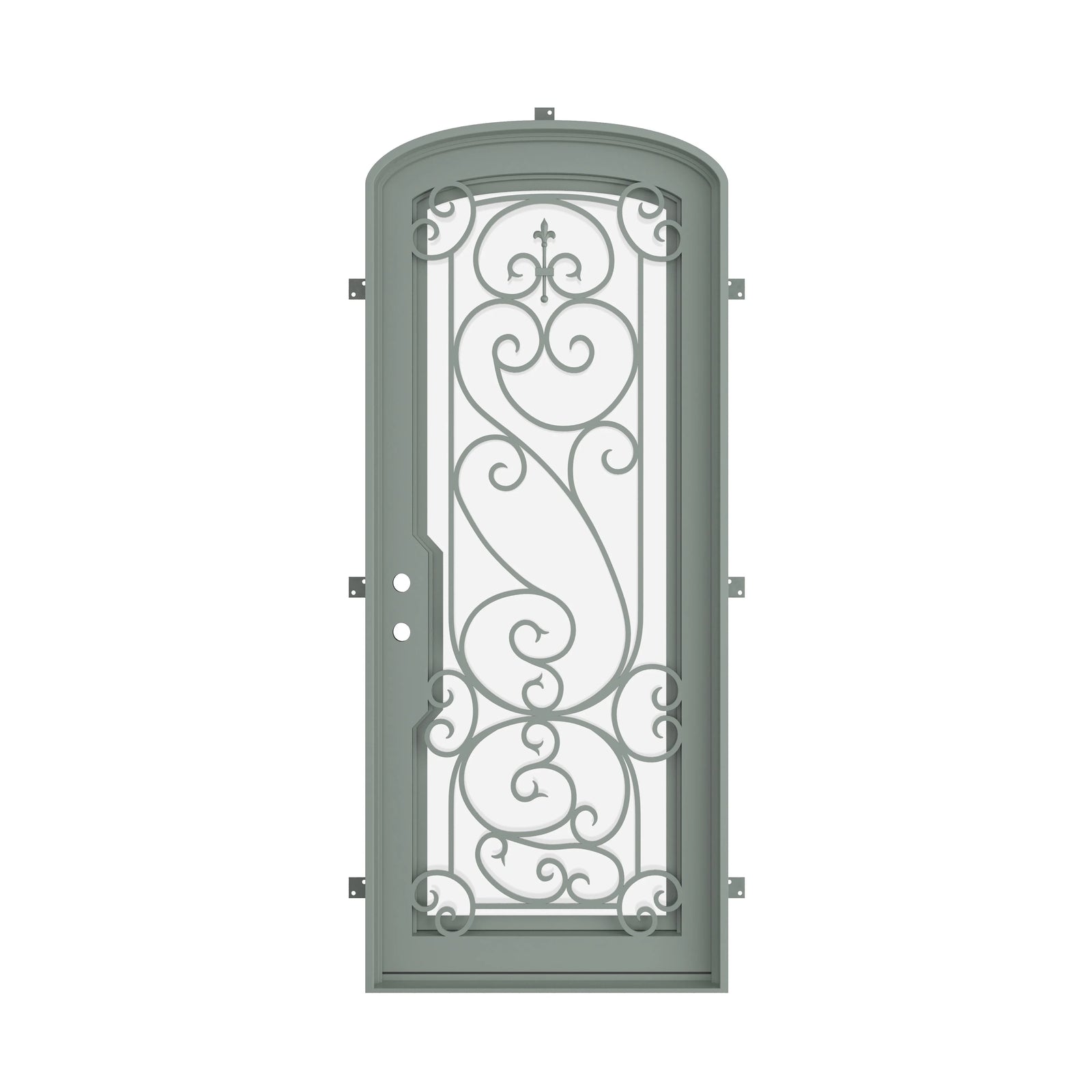 Pinkys Hills steel door, single, arch, closed