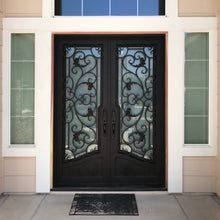 Load image into Gallery viewer, Classic wrought iron entry doors with glass panes