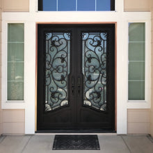 Load image into Gallery viewer, Classic wrought iron entry doors with glass panes