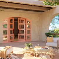 Knox with Side Windows - Double Arch | Standard Sizes - Staff Picks by Pinky’s Iron Doors — home doors, view 2