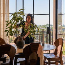 Load image into Gallery viewer, Air 4 - Center Split Double Slider | Standard Sizes