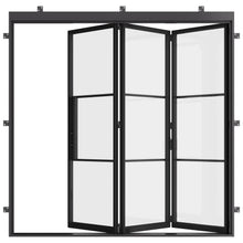 Load image into Gallery viewer, Exterior steel folding doors