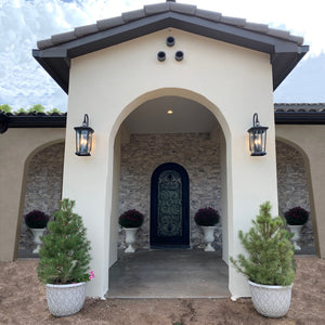 Arched entryway with a single iron door flanked by plants and columns