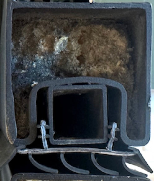 Closeup photo of a door sweep