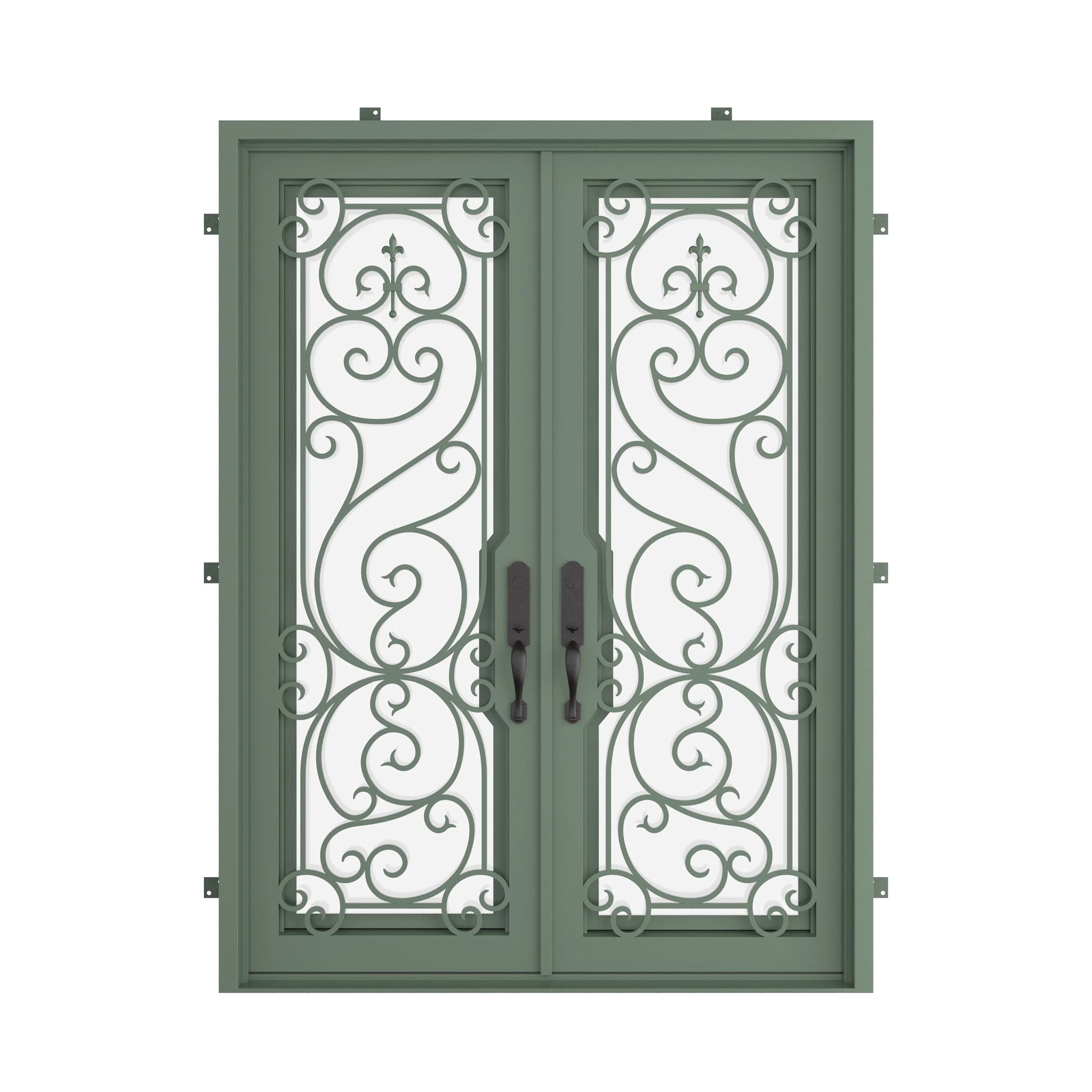 Pinkys Hills steel door, double, flat, closed
