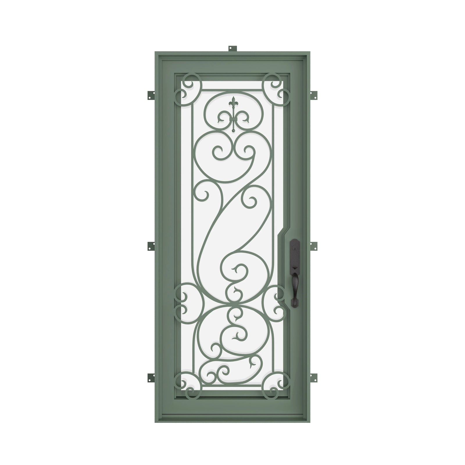 Pinkys Hills steel door, single, flat, closed