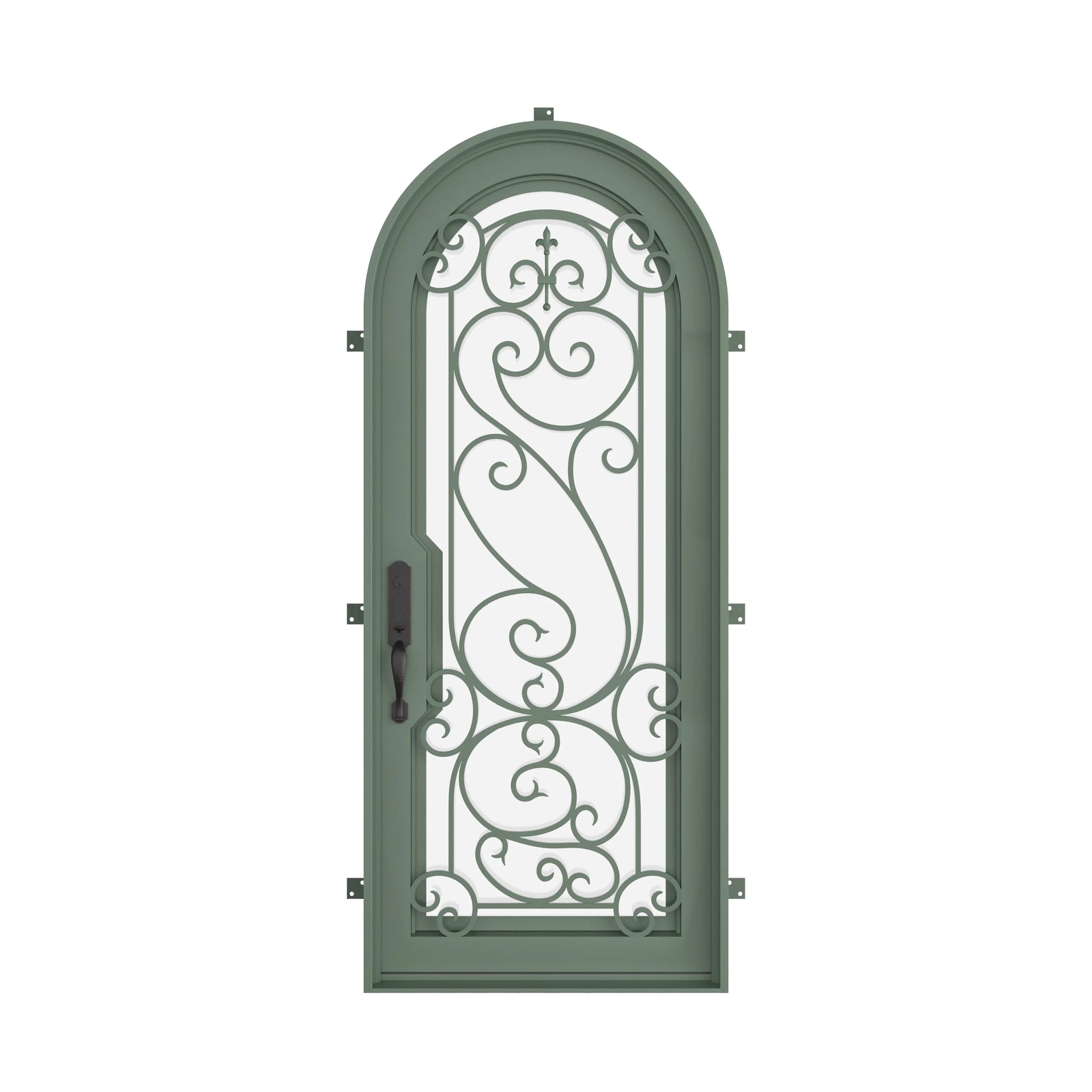 Pinkys Hills steel door, single, arch, closed