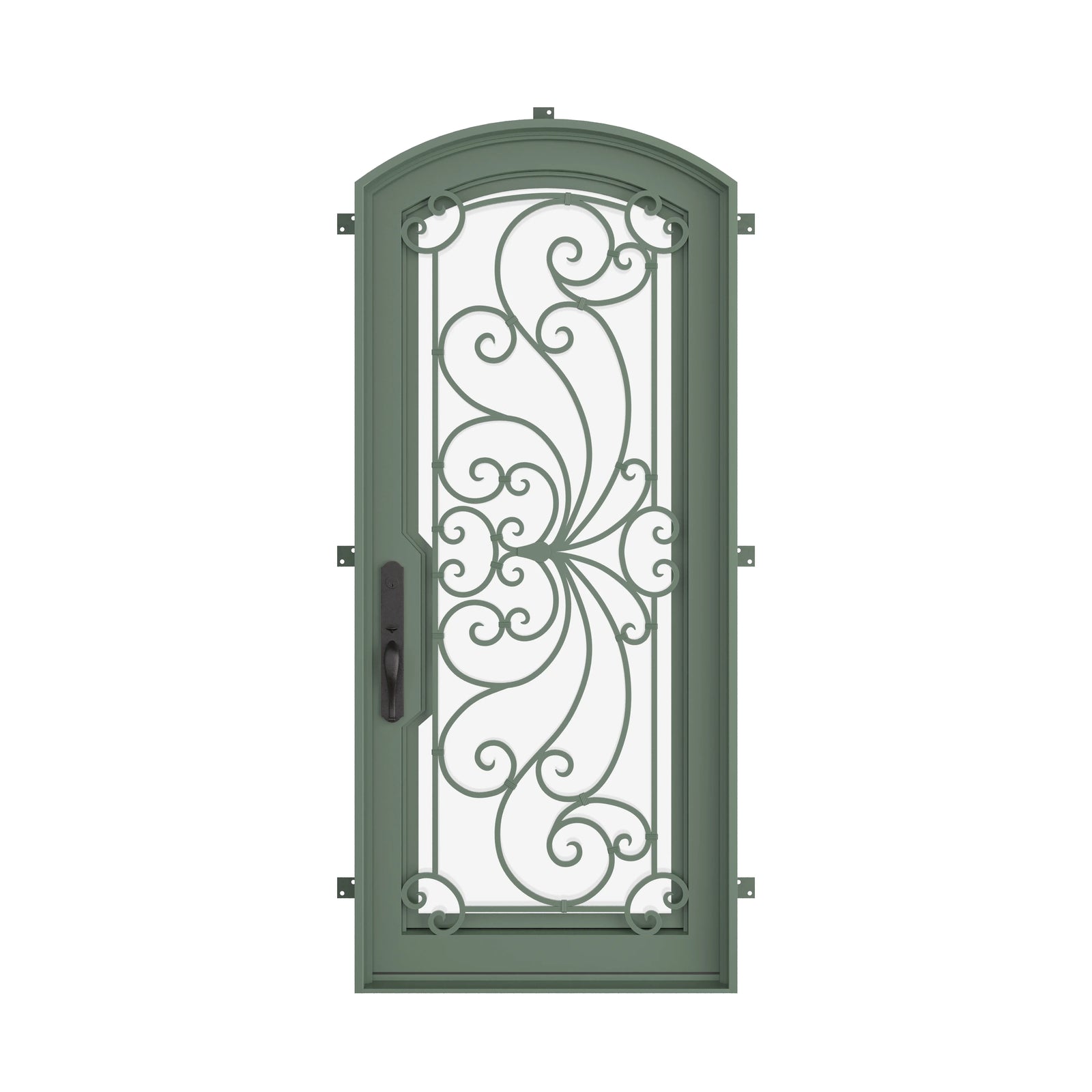 Pinkys Miracle steel door, single, arch, closed