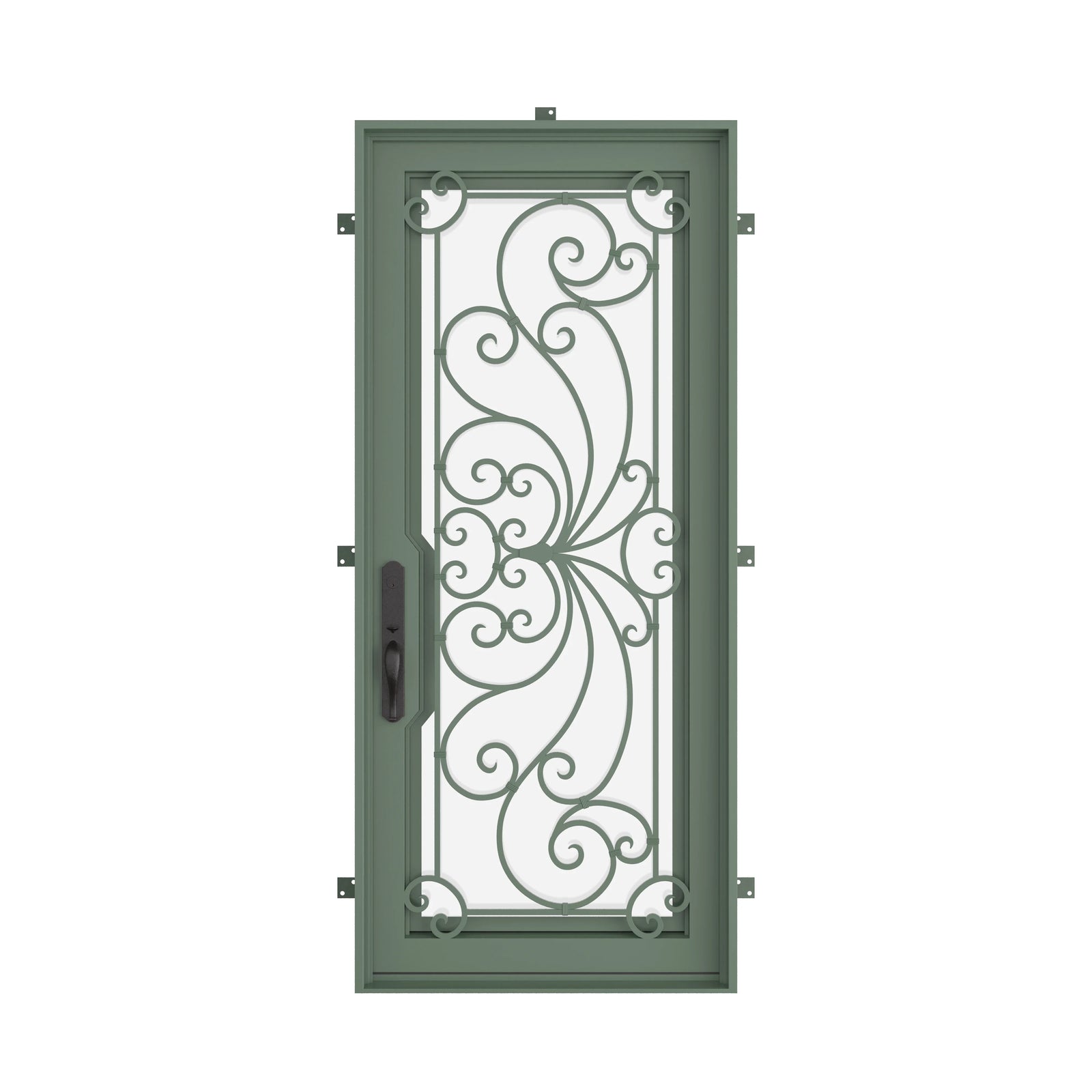 Pinkys Miracle steel door, single, flat, closed
