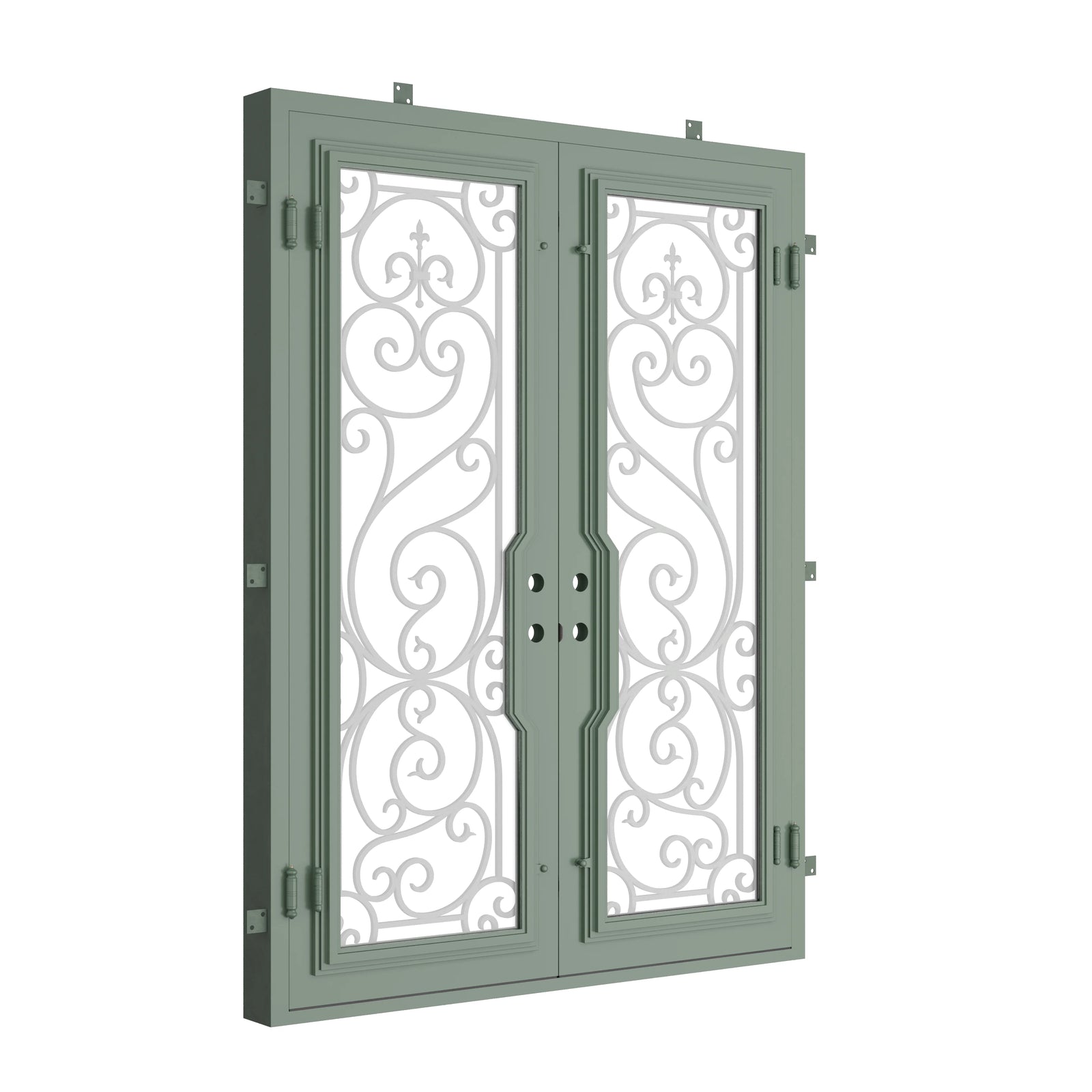 Pinkys Hills steel door, double, flat, closed