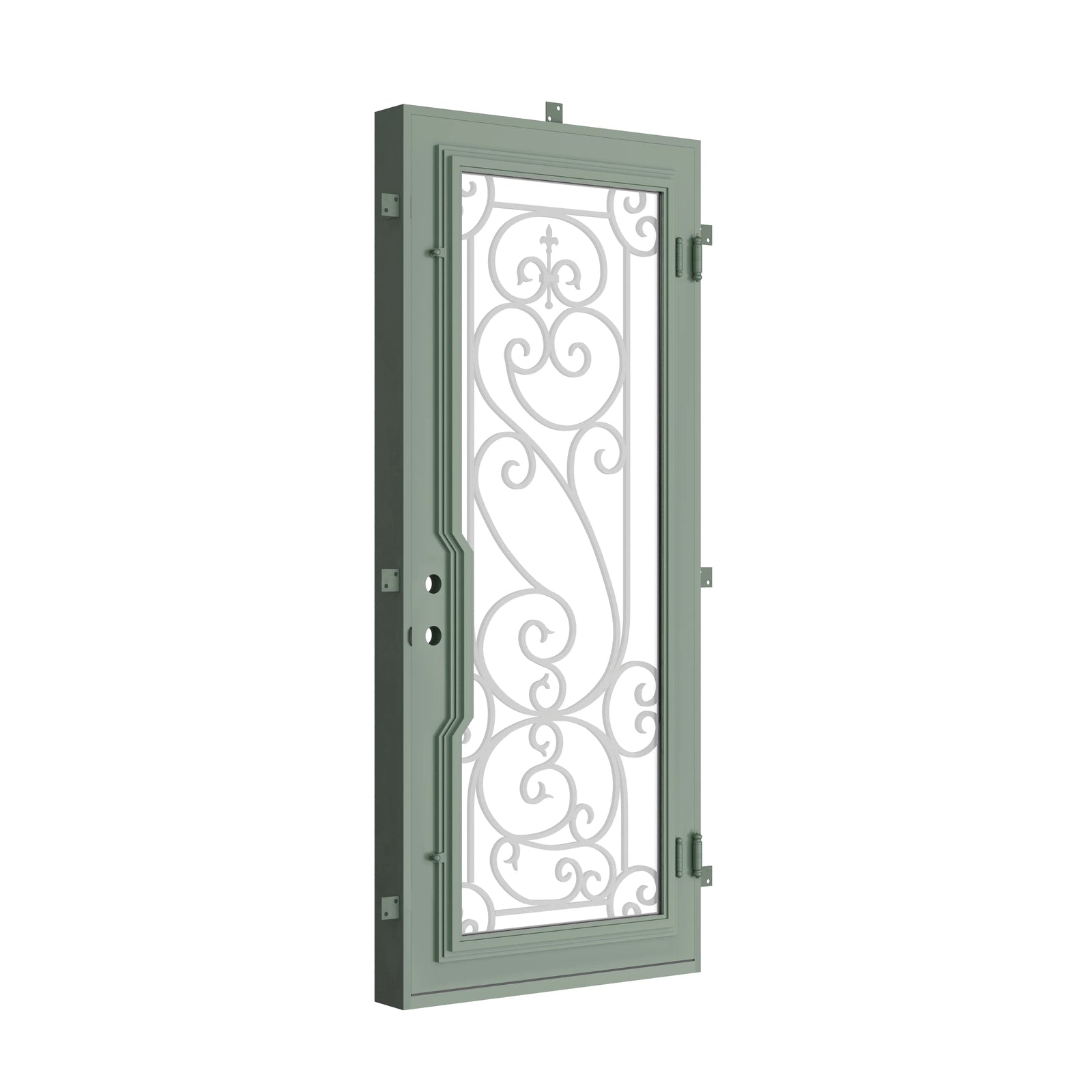 Pinkys Hills steel door, single, flat, closed