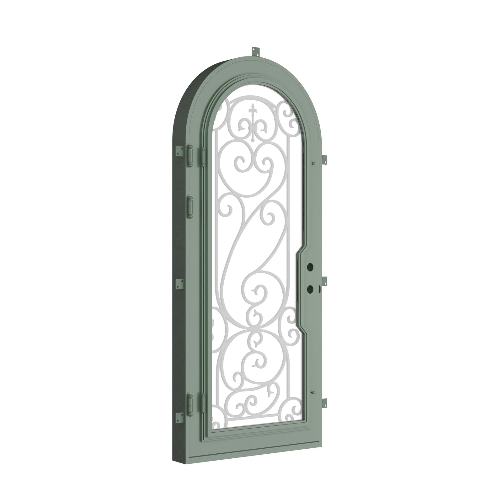 Pinkys Hills steel door, single, arch, closed