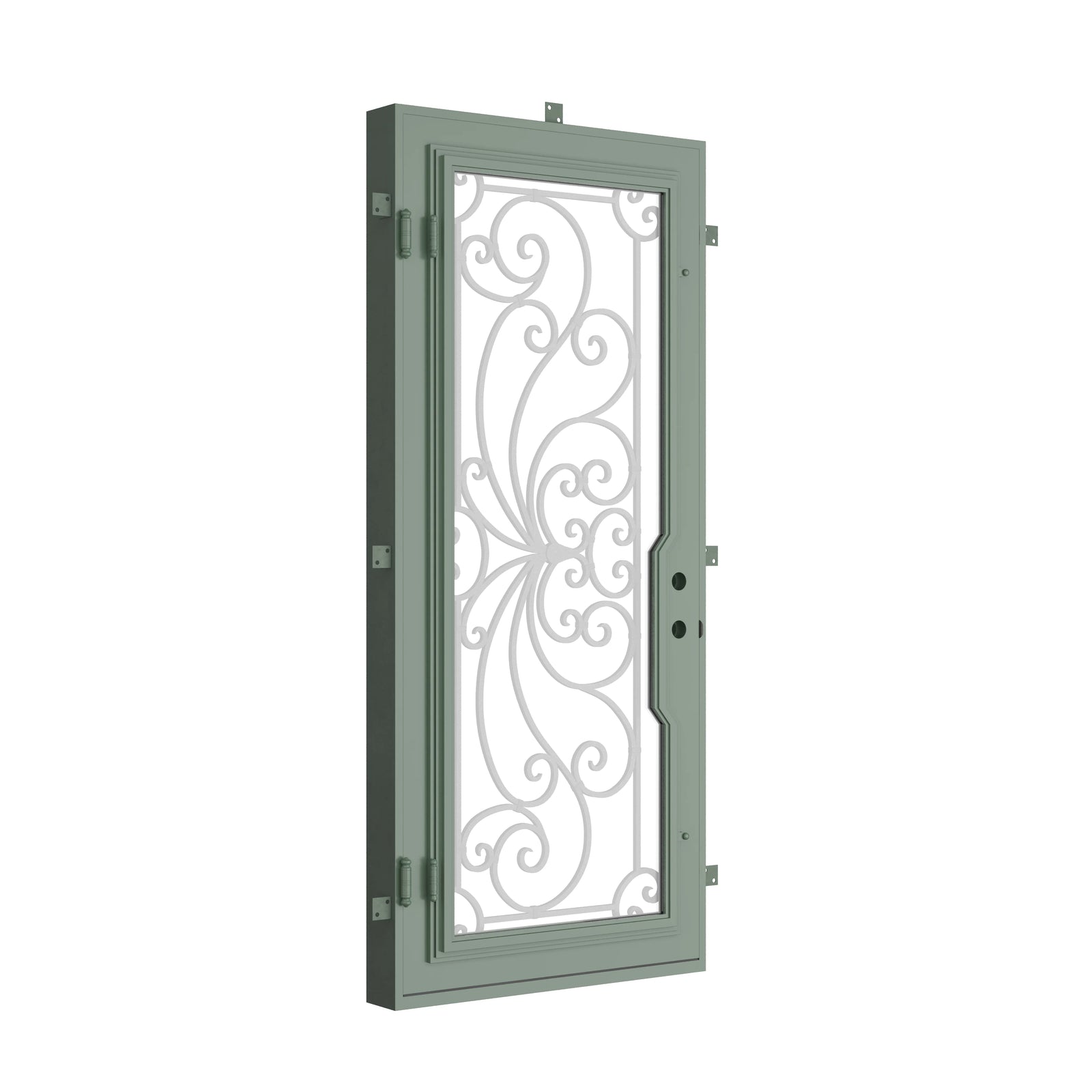 Pinkys Miracle steel door, single, flat, closed