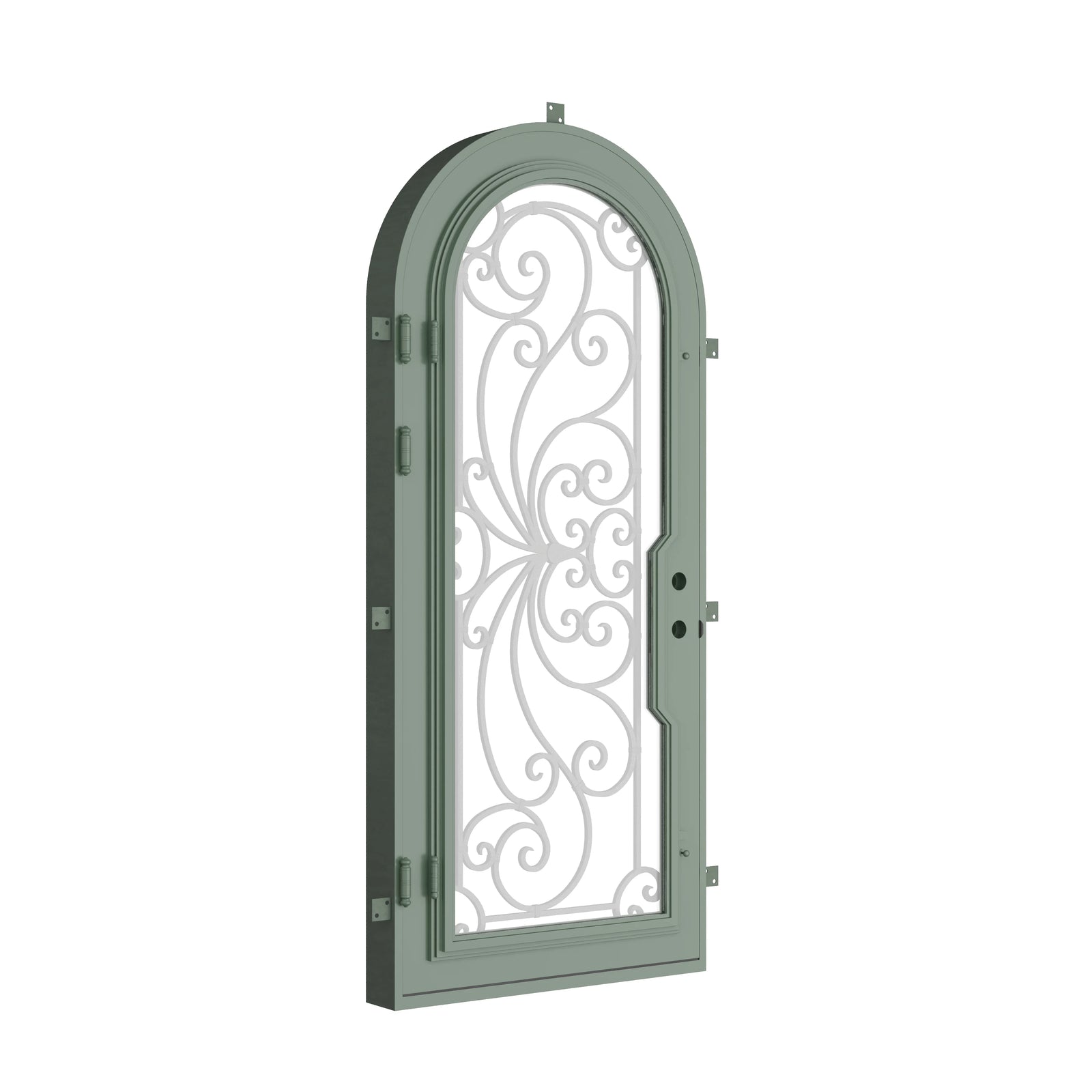 Pinkys Miracle steel door, single, full arch, closed