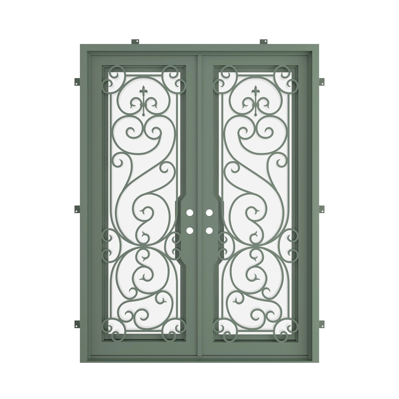 Pinkys Hills steel door, double, flat, closed