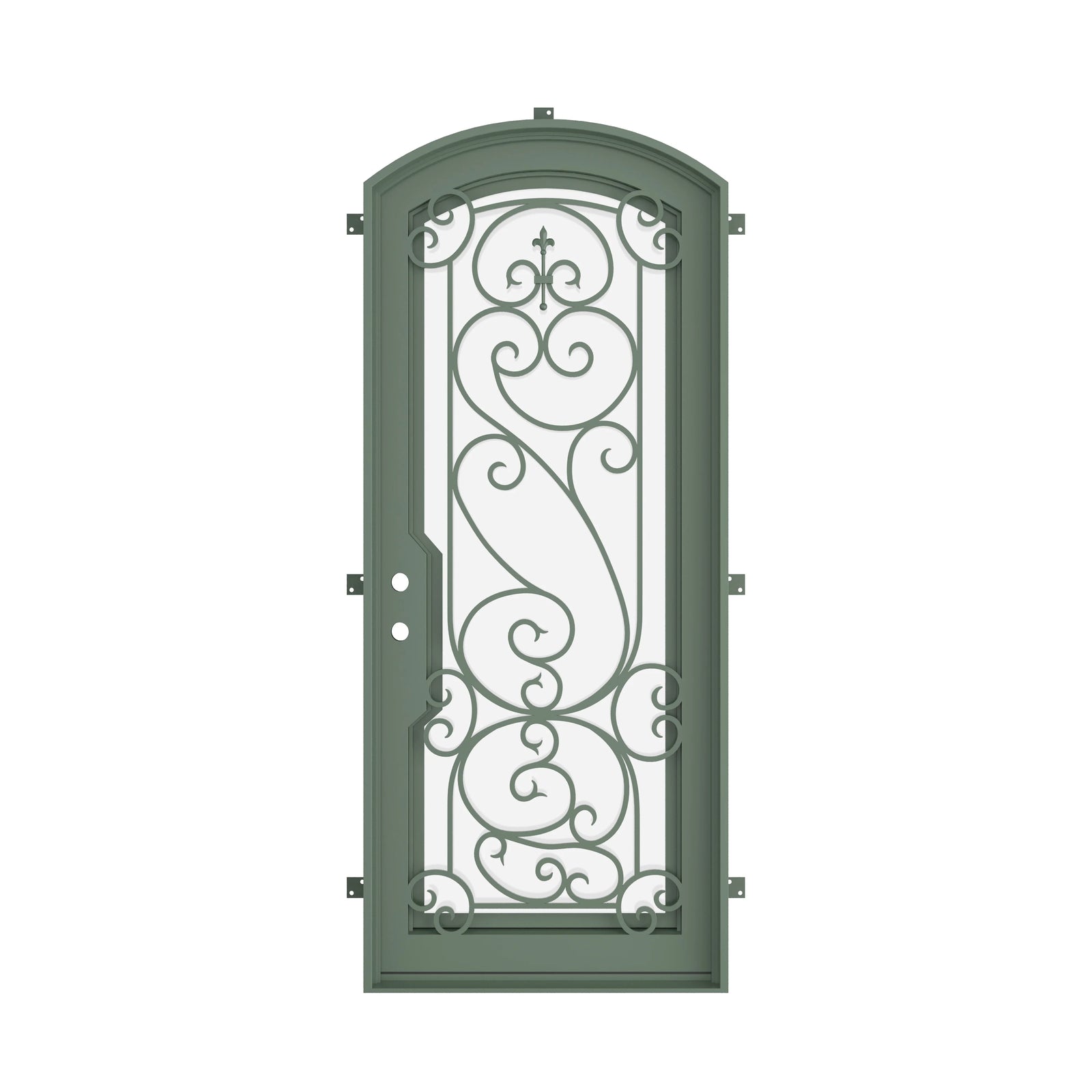 Pinkys Hills steel door, single, arch, closed