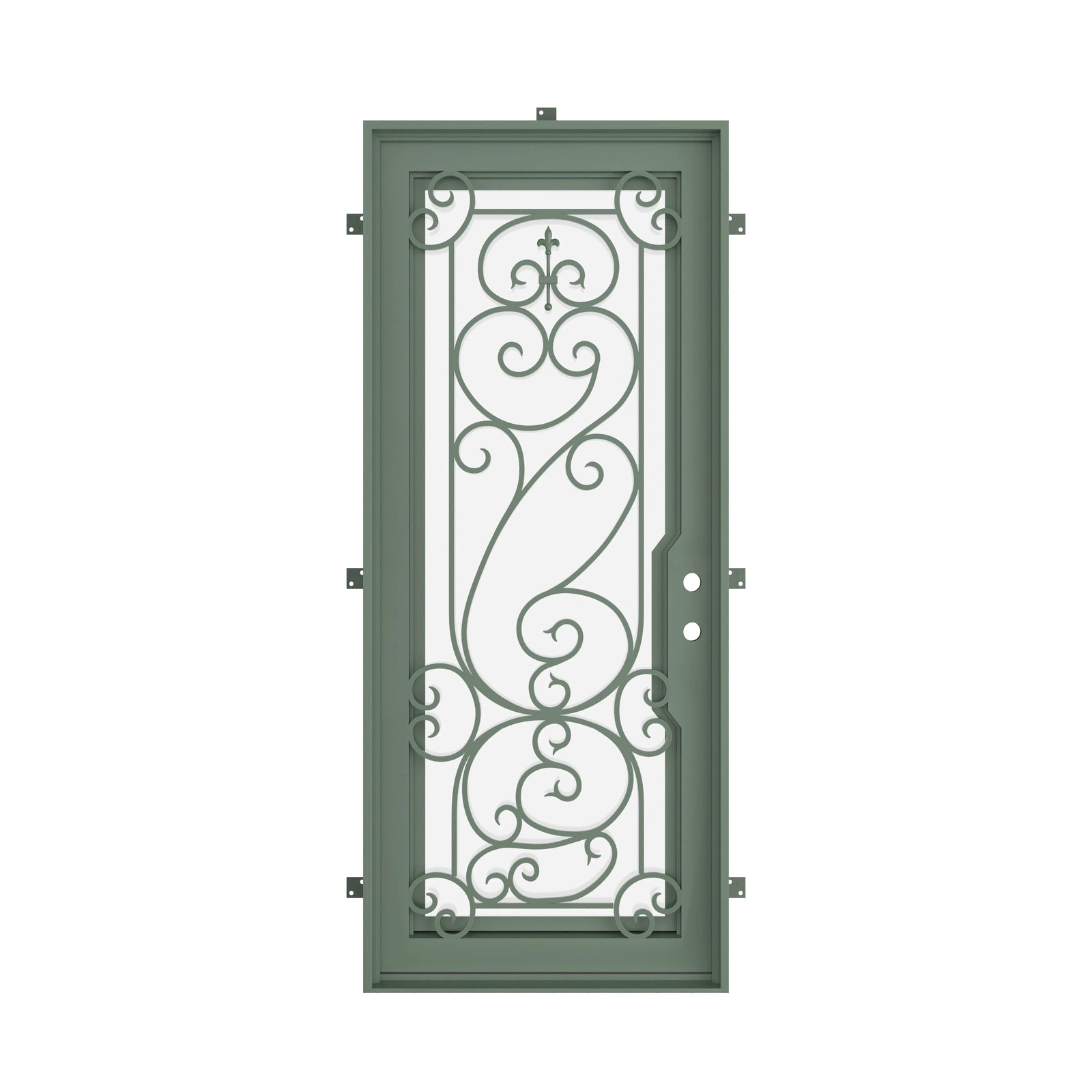 Pinkys Hills steel door, single, flat, closed
