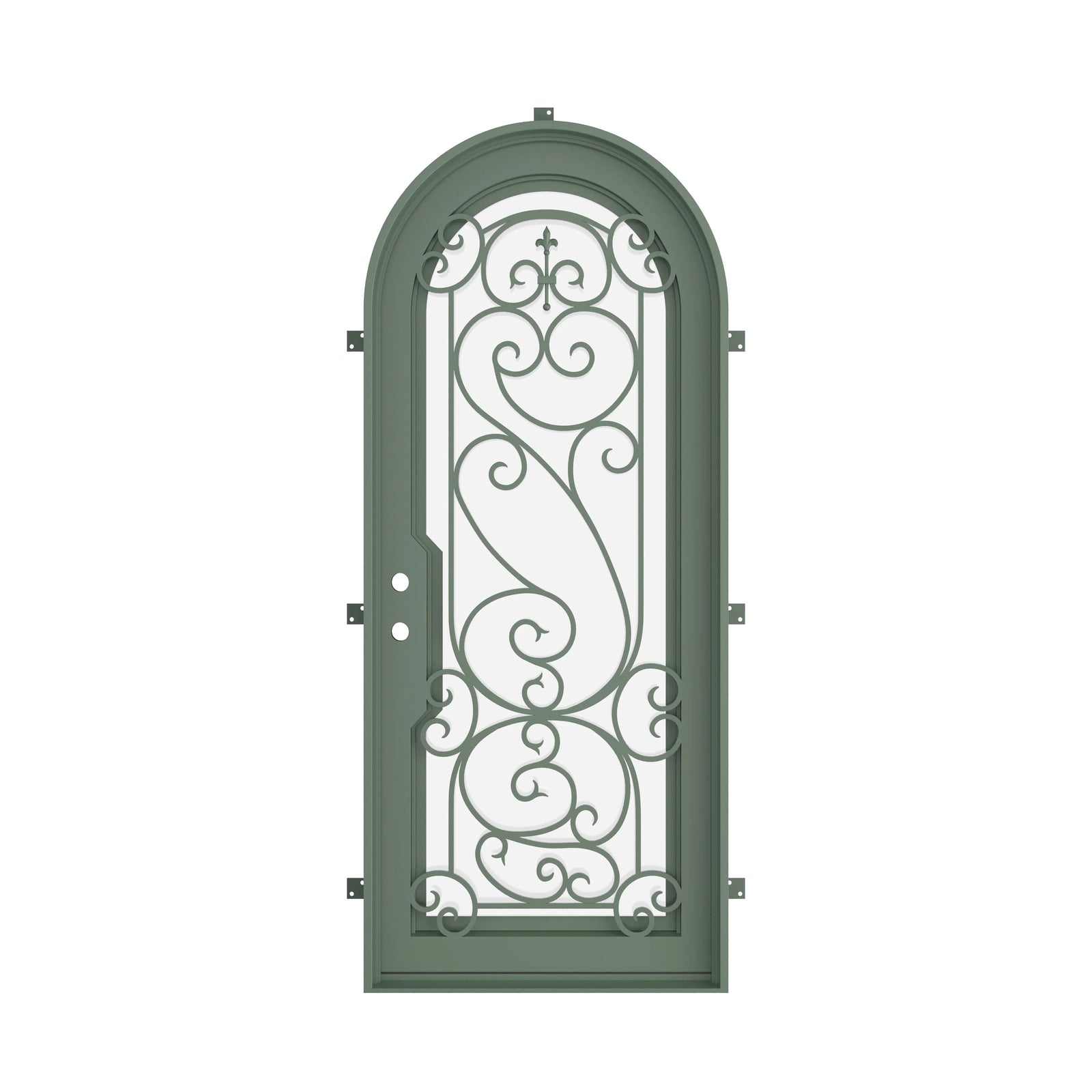 Pinkys Hills steel door, single, full arch, closed
